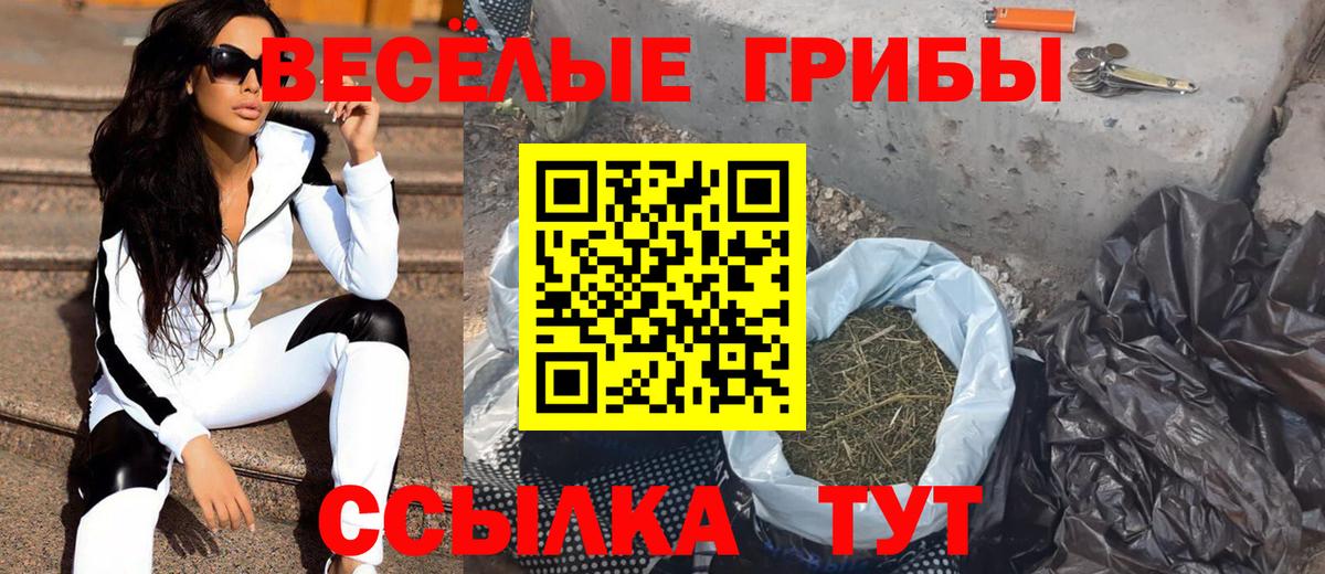 Галлюциногенные грибы Cubensis  Вход с VPN  Калач-на-Дону 